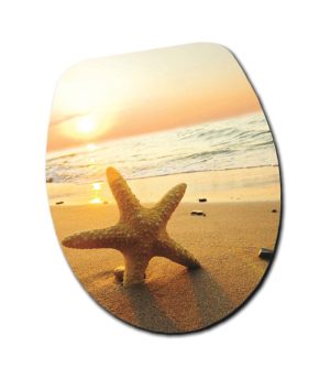 import ΚΑΠΑΚΙ ΛΕΚΑΝΗΣ 117 asterias mpez